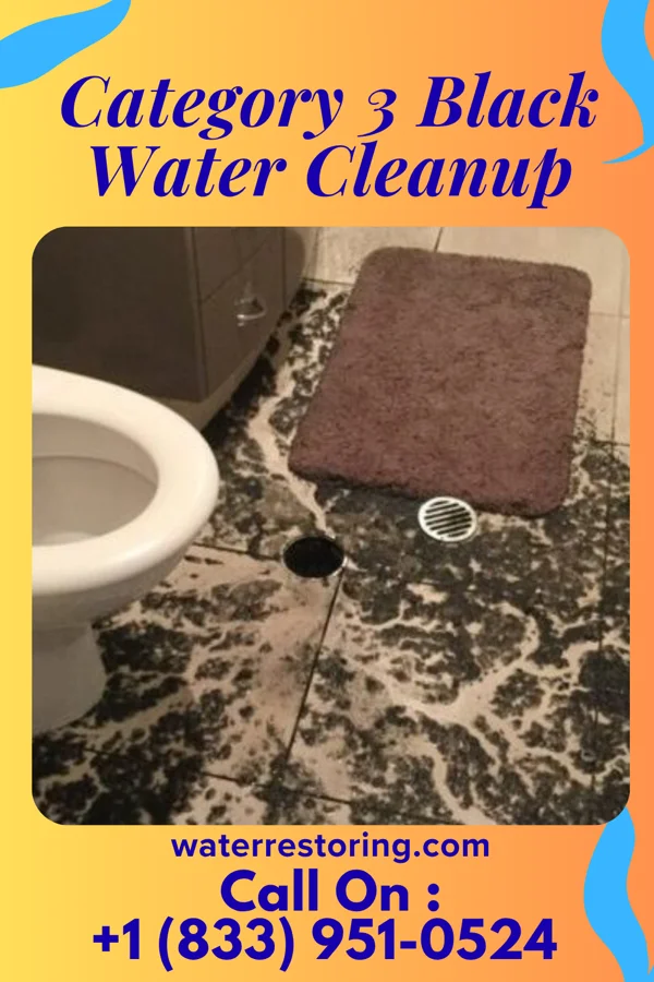 Category 3 Black Water Cleanup in Dilworth, MN