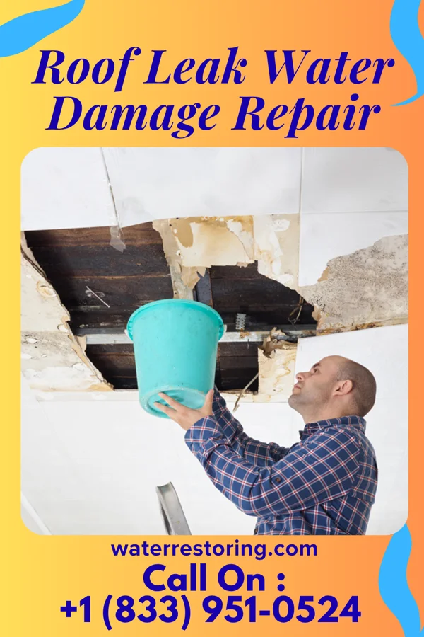 Roof Leak Water Damage Repair in Dilworth, MN